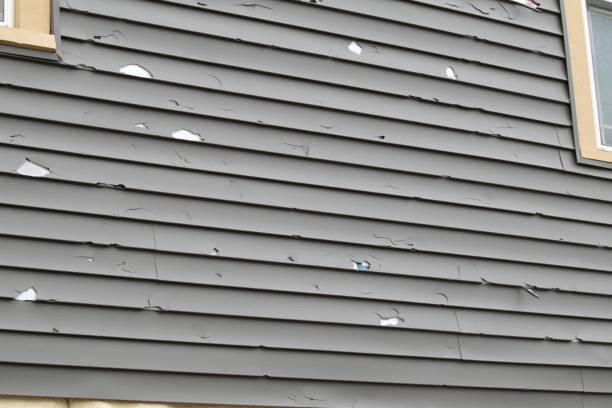 Best Insulated Siding Installation  in Vaeboro, NC