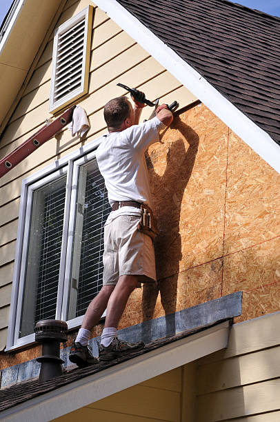 Best Siding Maintenance  in Vaeboro, NC